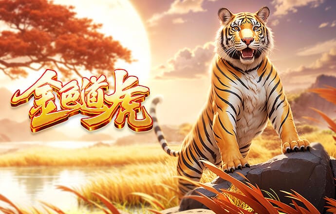 拜尔：能参加世界杯是一个巨大的梦想，对我来说这将是莫大的荣誉